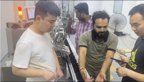 Ultime notizie aziendali su Suzhou Lingyao Pharmaceutical Equipment Team ha completato con successo la formazione SAT & Training per la macchina di cartonaggio in loco