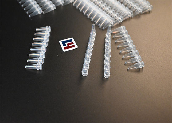 Acquistare Tubi microfugi affidabili per l'impostazione della PCR e le tecniche di amplificazione dell'acido nucleico fabbricazione online