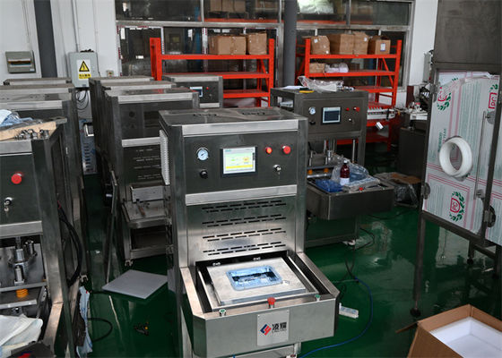 Acquistare 10 mm di sigillo termico medico con temperatura regolabile per gli imballaggi Tyvek fabbricazione online