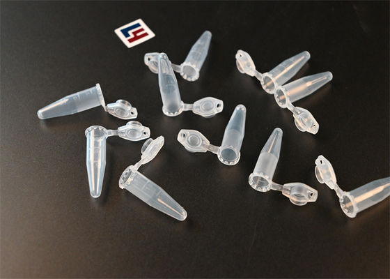 Enzima cinetica tubi PCR 0,1 ml tubi microfughe di polipropilene